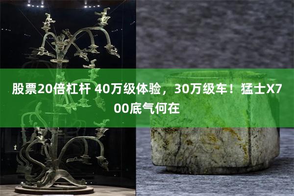 股票20倍杠杆 40万级体验，30万级车！猛士X700底气何在