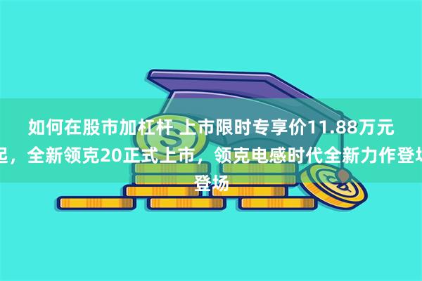 如何在股市加杠杆 上市限时专享价11.88万元起，全新领克20正式上市，领克电感时代全新力作登场