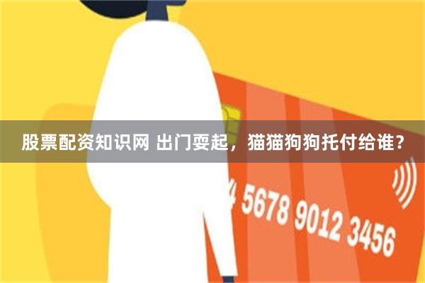 股票配资知识网 出门耍起，猫猫狗狗托付给谁？