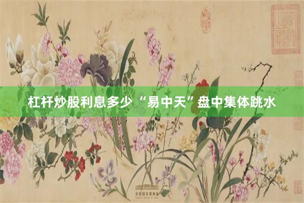 杠杆炒股利息多少 “易中天”盘中集体跳水