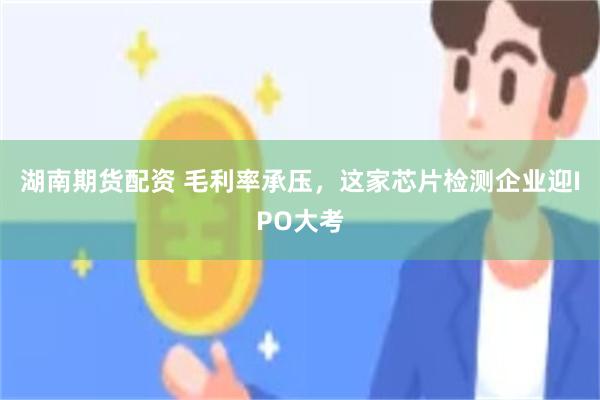 湖南期货配资 毛利率承压，这家芯片检测企业迎IPO大考