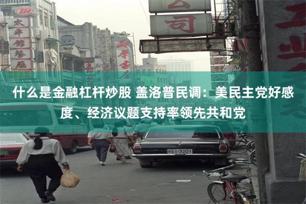 什么是金融杠杆炒股 盖洛普民调：美民主党好感度、经济议题支持率领先共和党