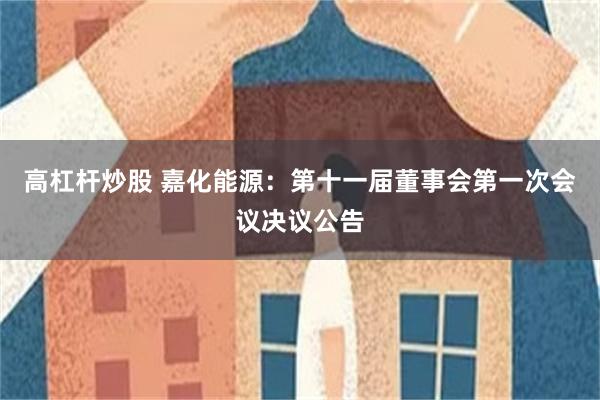 高杠杆炒股 嘉化能源：第十一届董事会第一次会议决议公告