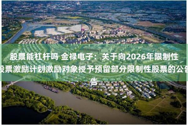 股票能杠杆吗 金禄电子：关于向2026年限制性股票激励计划激励对象授予预留部分限制性股票的公告